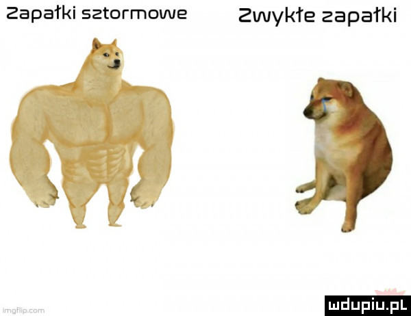 zapałki sztormowe zwykłe zapałki