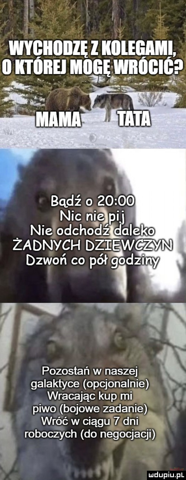 v i wvcnnnżu minim r ii ktore mogę winien i. af agd  . abakankami ś. bądź o       nic agamij nielodchodźlqaleko zadnych dz ięwg zy n dzwoń co pół godziny n pozostań w naszej galaktyce opcjonalnie wracając kup mi. piwo bojowe zadahię wróć w ciągot  dni roboczych do negocjacji