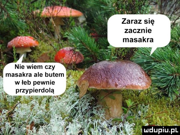 zaraz się zacznie masakra nie wiem czy masakra ale butem w leb pewnie przypierdolą