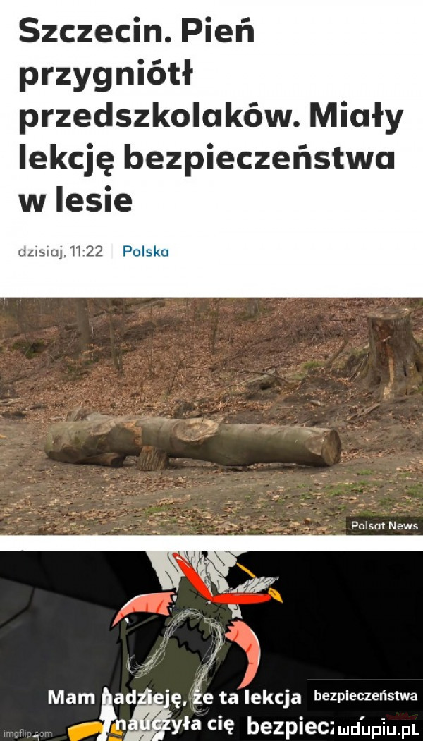 szczecin. pien przygniótł przedszkolaków. miały lekcję bezpieczeństwa w lesie dzisiaj       polska w folsmnews li  w f l   l   a   mam ad e ta lekcja bezpieczeństwa y-a cię bezplecimdupiu. pl
