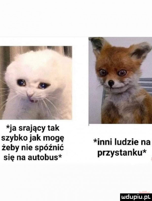 ja srający tak szybko jak mogę żeby nie spóźnić się na autobus inni ludzie na przystanku ludu iu. l