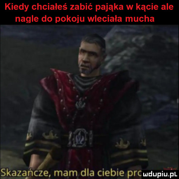 kiedy chciałeś zabić pająka w kącie ale nagle do pokoju wleciała mucha r x. x n. i. abakankami sag. b a. s k acań e mam dla ciebie pac ludupiu. at
