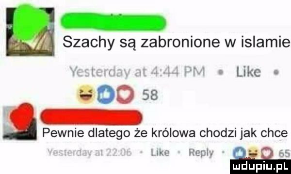 szachy są zabronione w islamie like        pewnie dlatego że królowa chodzi jak chce luke rem a. mdﬁpiupl