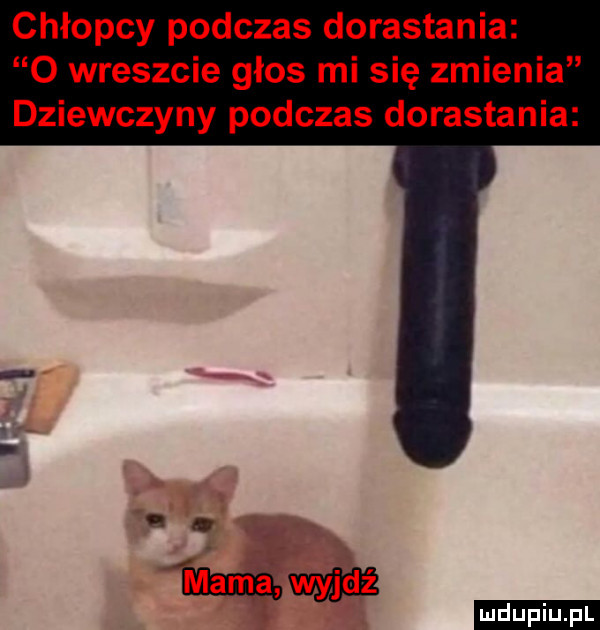 chłopcy podczas dorastania o wreszcie głos mi się zmienia dziewczyny podczas dorastania b z