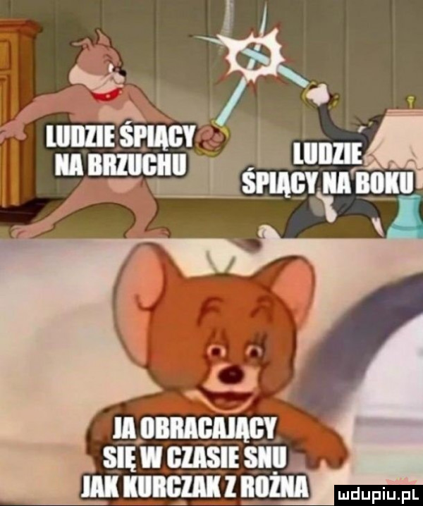 dam sięwgiisie sci lal kiwi lim