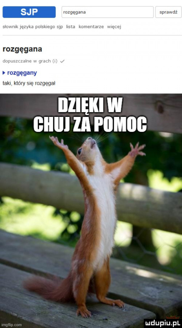 vazgegsr a sprawni ma m rozgęgana lakl kar uv swe ngegal iizięki w qu m m w. a h