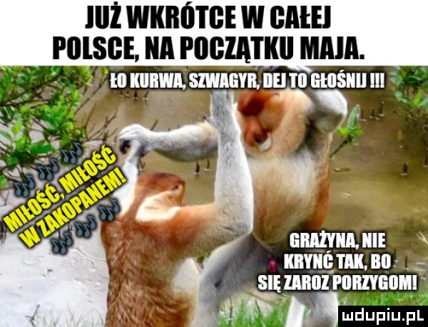 iiiż wkrótce w bae i lllsge a pogiatkii maja. lal kiibwi. swig. idei i ﬂ ewśiiii ibl grażyna. icie kbyiiętik. nn się uda piiriygiiiii m nmdupiu. pl