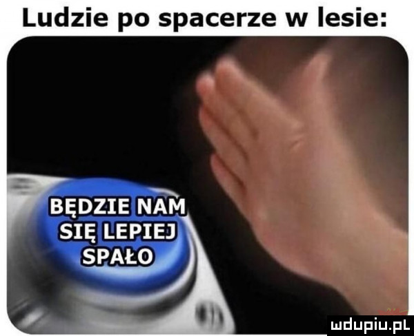 ludzie po spacerze w lesie będzie nam się tym spało