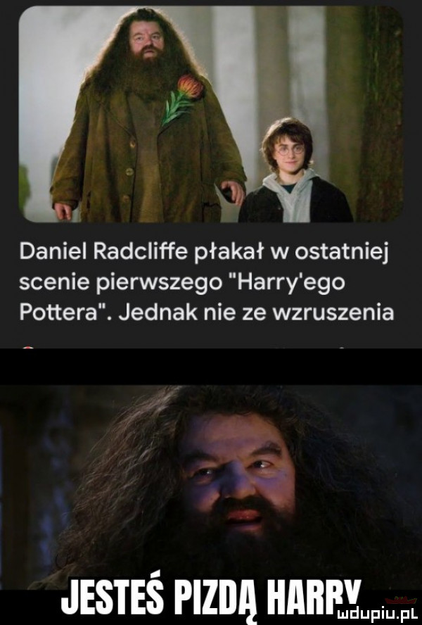 daniel radcliffe płakał w ostatniej scenie pierwszego harry ego pottera. jednak nie ze wzruszenia jesteś piziii agi f