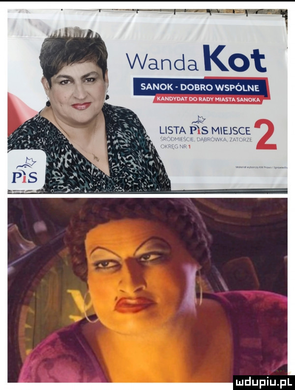 wanda kot sanok dobro wspólne magma do um mm unum r lista fis miejsce x