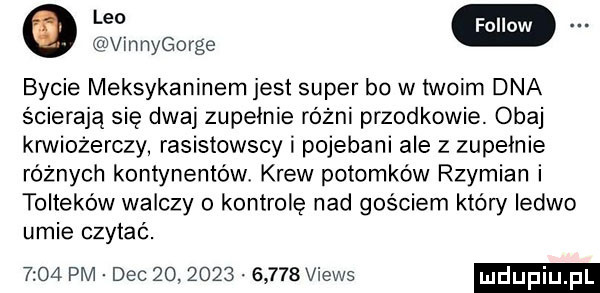 vinnygorge bycie meksykaninem jest super bo w twoim dna ścierają się dwaj zupełnie różni przodkowie. obaj krwiożerczy rasistowscy i pojebani ale z zupełnie różnych kontynentów krew potomków rzymian i tolteków walczy o kontrolę nad gościem który ledwo umie czytać.      pm dec               views
