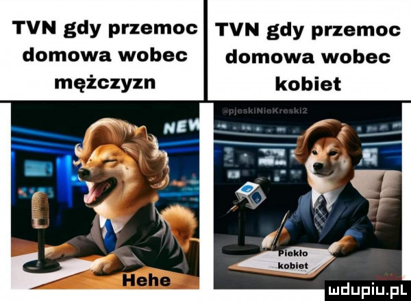 tvn gdy przemoc tvn gdy przemoc domowa wobec domowa wobec mężczyzn kobiet