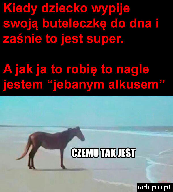 kiedy dziecko wypije swoją buteleczkę do dna i zaśnie to jest super. abak ja to robię to nagle jestem jebanym ankusem     me ludu iu. l