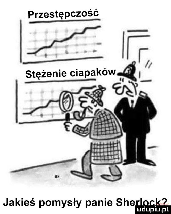 przestępczość stężenie ciapaków módl jakieś pomysły panie snem