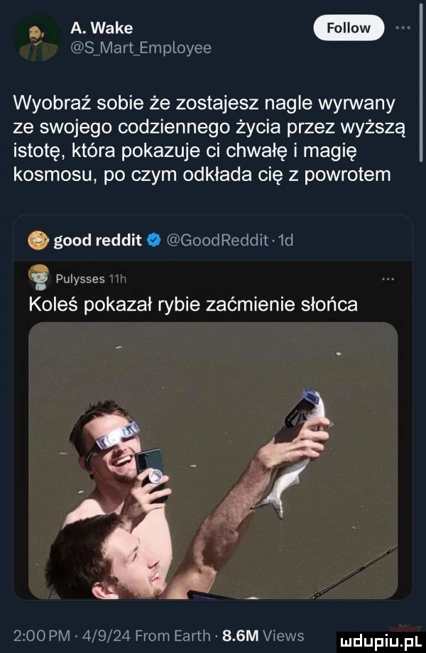 simartiemployee wyobraź sobie za zostajesz nagle wyrwany ze swojego codziennego życia przez wyższą istotę która pokazuje ci chwałę i magię kosmosu po czym odkłada cię z powrotem geod reddit o goodreddit  d koleś pokazał rybie zaćmienie słońca      pm        from earth    m views