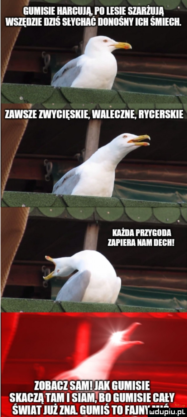 iii isi iiiiiiiiiial i ll lesie shiiżiiia mall illiś słygiilg iioiiiiśiiy iiiii shieiiii. uwsiimmssxli wałem iiygeiiskie iiibigi sim ilii iillilisie skarm i ilii i siiimibii gumisie gaiły świat iiil ilia iiiiiiiś i ll faiiitjegeiu. pl