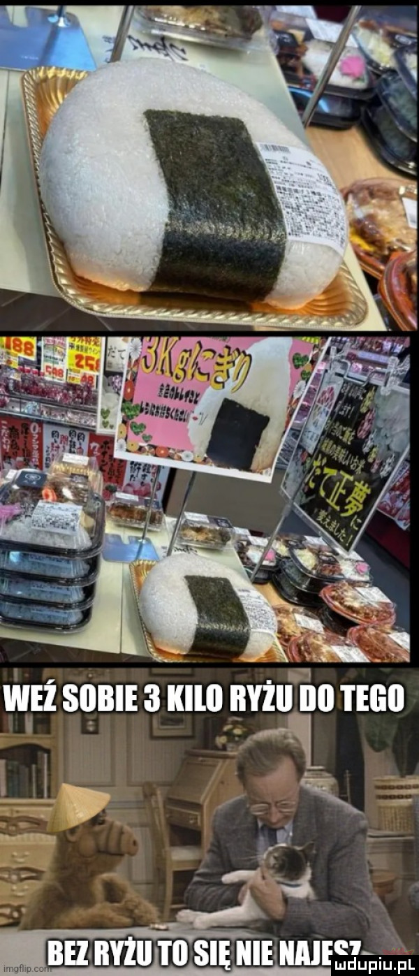 mbhbwumsie nie illleę i fl