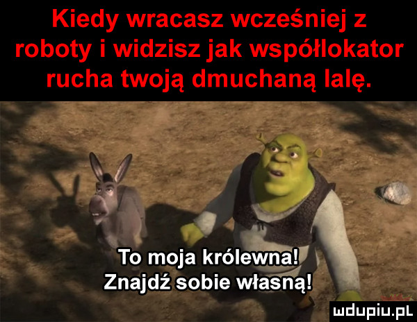 u xt i. v n. to moja królewfvhn a znajdź sobie własną