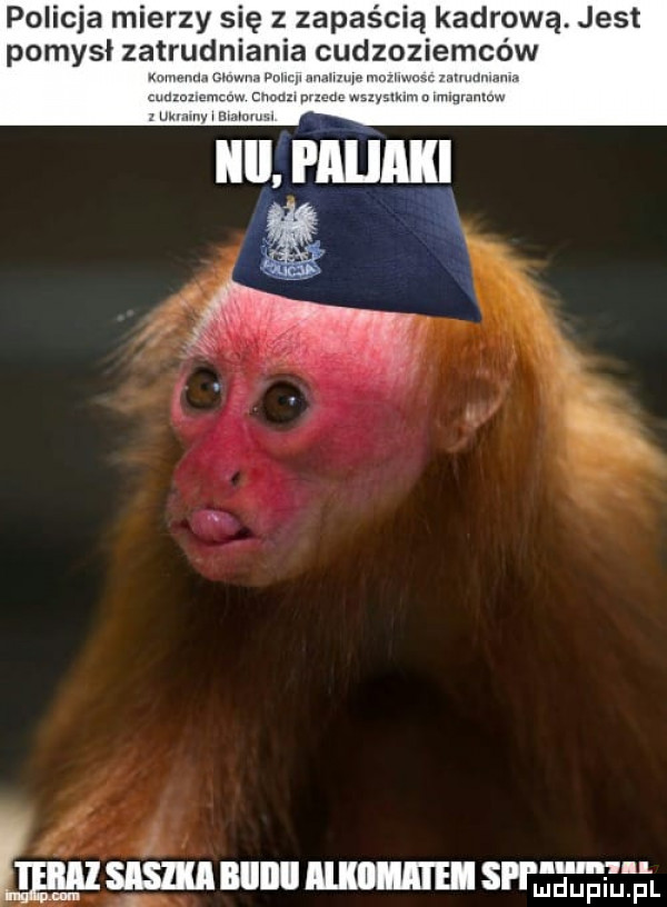 policja mierzy się z zapaścią kadrową. jest pomysl zet d cud ziem w my suszu nin mmm s d na