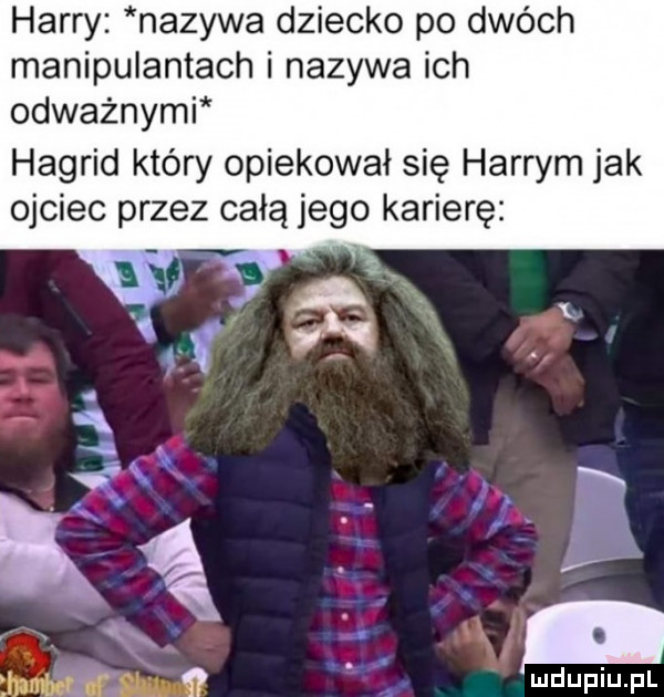 harry nazywa dziecko po dwóch manipulantach i nazywa ich odwaznymi hagrid który opiekował się harrym jak ojciec przez całą jego karierę fm lf sci