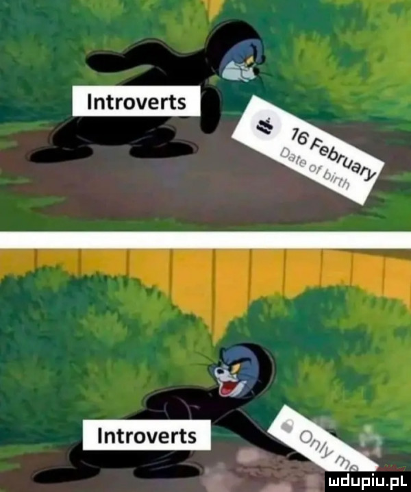 introverts m m
