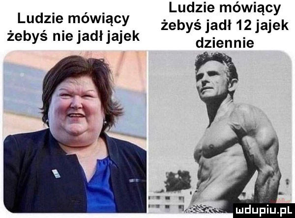 ludzie mówiący żebyś jadł    jajek dziennie ludzie mówiący żebyś nie jadłjajek