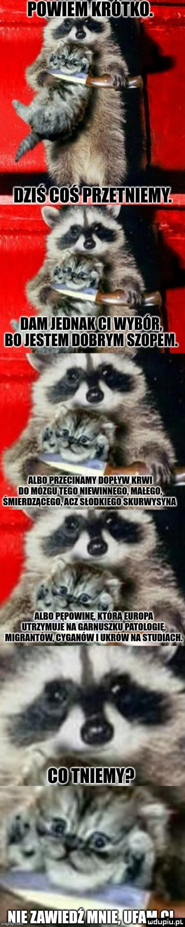 s iznmim imam ieiinak gi wybór bl jestem dobrym slipem. mn. pnlicmnm    va kawi no mozgii tego niewinnegii maeegii śmierdiagegimagz slllllkleliﬂ skiibwysyiia albo forming arńnagunuh. abakankami ii fl mew a aannuszau mutual mmnnmw umów u itw a srumacu. abakankami l. iu u l m ie zawieli a midi ii ii