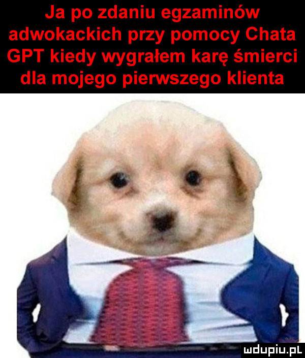 ja po zdaniu egzaminów adwokackich przy pomocy chata gat kiedy wygrałem karę śmierci dla mojego pierwszego klienta