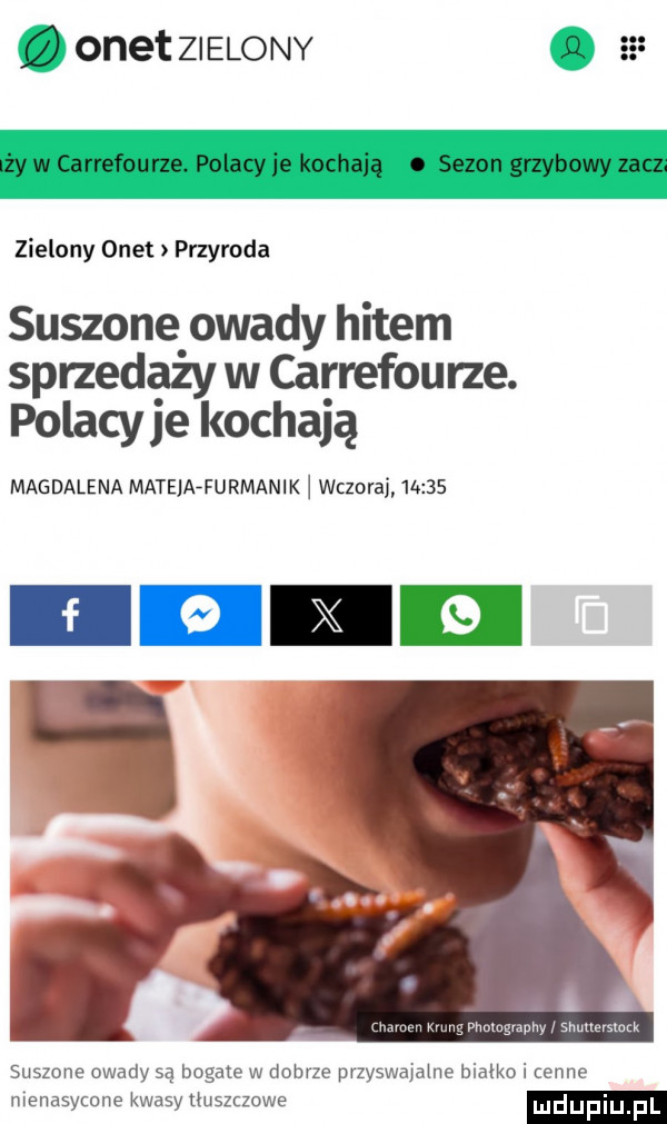 onet zielony. zielony onet przyroda suszone owady hitem sprzedaży w carrefourze. polacy je kochają magdalena matelaffurmanik wczoraj idą    il nmgraphv shunavsmtk suszone owady są bogate w dobrze przyswajalne bialko i cenne menasymne kwasy tłuszczowe ndupiu pl