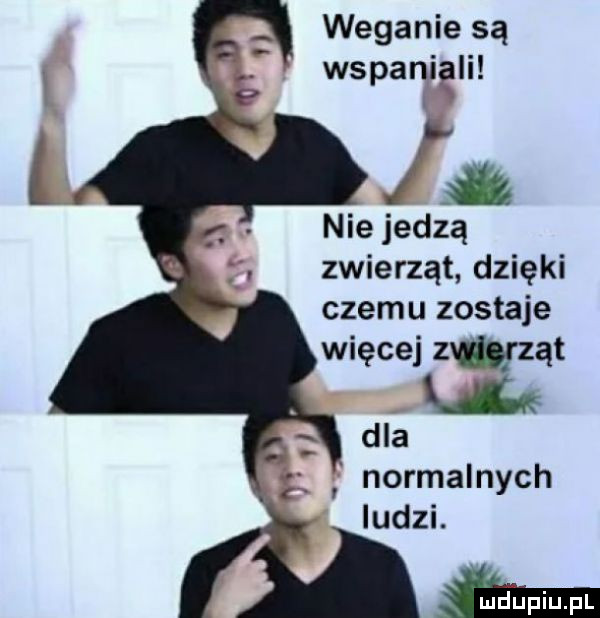 weganie są wspaniali nie jedzą zwierząt dzięki czemu zostaje więcej zwząt dla normalnych ludzi