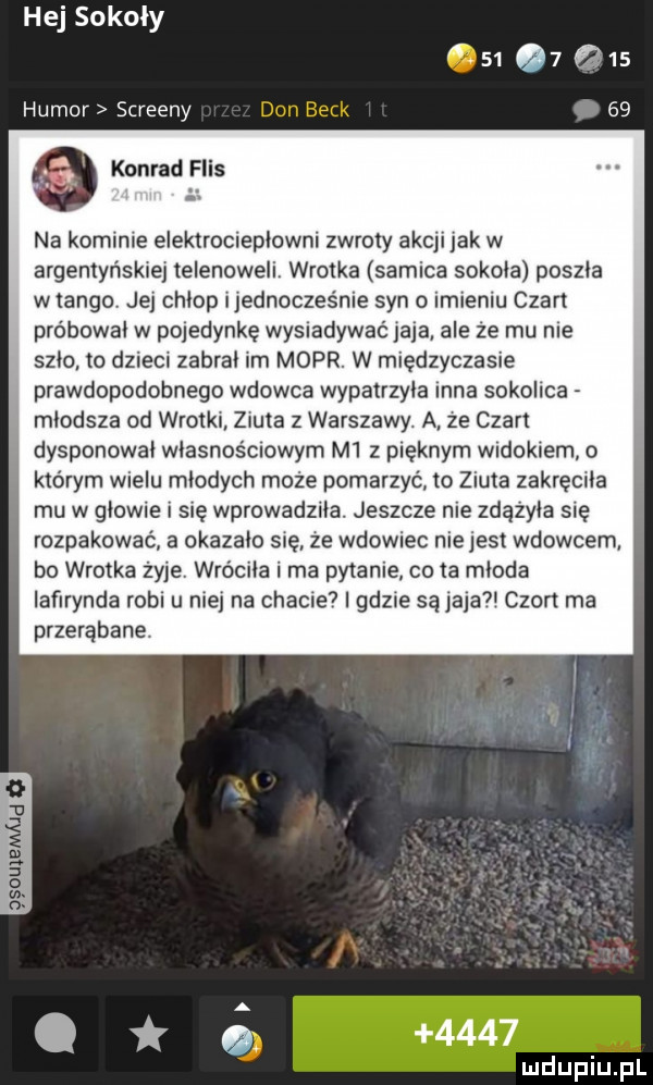 hej sokoły          humor screeny don beck    konrad flis na kominie elektrociepłowni zwroty akcji jak w argentyńskie telenoweli wrotka samica sokole poszla wtango jej chlop ijednoczes nie syn o imieniu czart probowal w pojedynkę wysiadywać jaja ale ze mu nie szlo to dzieci zabral lm mopr. w międzyczasie prawdopodobnego wdowca wypatrzyla inna sokolica mlodsza od wrotkl ziuta z warszawy. a ze czart dysponowal własnościowym m  z pięknym widokiem o którym wielu mlodych może pomarzyć to ziuta zakręciła mu w glowie i się wprowadzila. jeszcze nie zdażyla się rozpakować a okazalo się ze wdowiec niejest wdowcem bo wrotka żyje wróciła i ma pytanie co ta mloda iafirynda robi u niej na chacie gdzie sąjaja chon ma przerąbane. v.  . abakankami i u a.      w