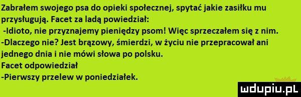 zabrałem swojego psa do oplekl spalecmej spytać jakie lasilku mu pnyslugujq. facet xa lede pow dxial idiom nie pnvmajemv pieniędxv psom więc spneclalem się   nim. dlac eda n list brqmwv śmierdli w życiu nie pnepracowal ebi jednego dnia i nie mówi slowa po polsku. facet ospo dlial pierwslv pnelew w poniedlialek