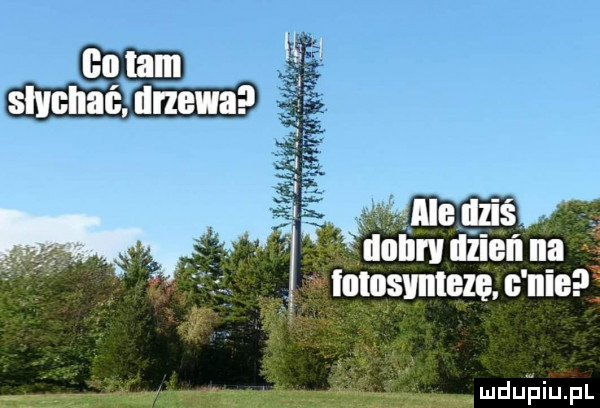 inlbśgmęgęqn nlea mdueiehl