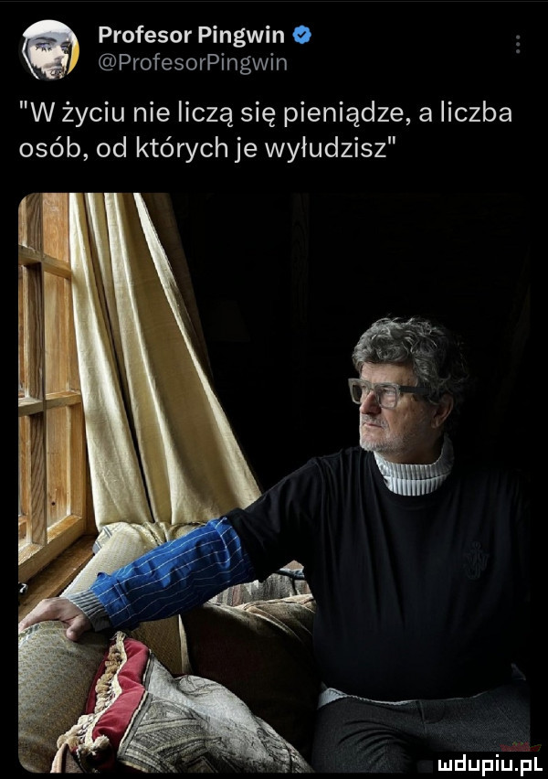 profesor pingwin o profesorpingwin w życiu nie liczą się pieniądze a liczba ojeb od których je wyłudzisz mdupigęel