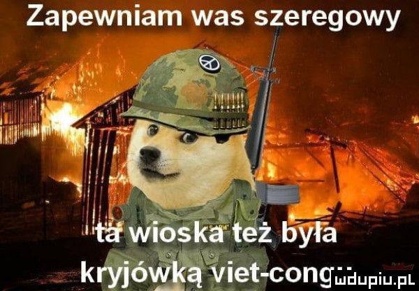 zapewniam was szeregowy