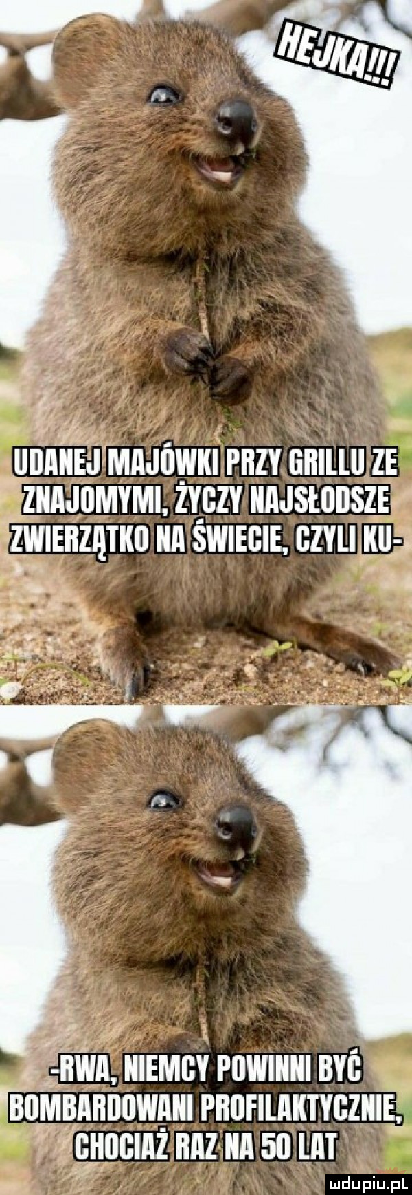 ja   mar l lllaiiej majówki piizk liﬂlllu ze zkajomkmi. zy gzy kajsiloiiszb zwieiizatkii ka świecie gzili ku j łx. oli ikwa iiiemiik puwiiiiii byś   bumbabduwaiii piilli ilaiiikﬂziii   iihiiiiiaz iiaz ica    ai ludupiu. pl