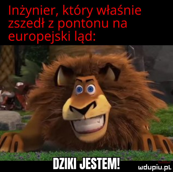 inżynier którywłaśnie zszedł z pontonu na europejski ląd idziki jasiem mam fl