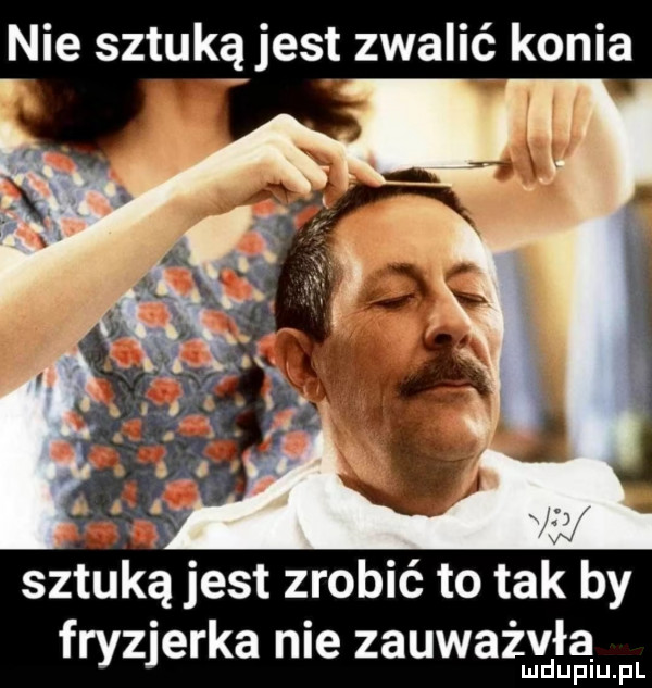 nie sztuką jest zwalić konia sztuką jest zrobić to tak by fryzjerka nie zauważała mduplu pl
