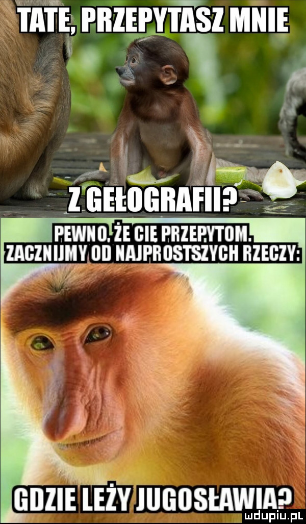 fce pnzujvri sz mnie mm cinnamon. zaczuuu ylun nmnnosmvcn rzeczy gdzie leży iiigosławia dejiu lep