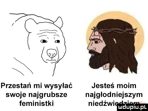 przestań mi wysyłać jesteś moim swoje najgrubsze najglodniejs zbm feministki niedźwi