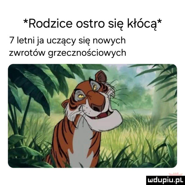 rodzice ostro się kłócą   letni ja uczący się nowych zwrotów grzecznościowych ludu iu. l