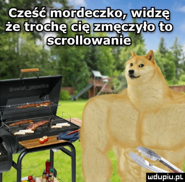 Obrazek