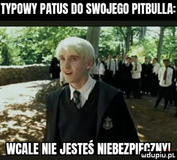 typiiwy patos illl swojego pitblilul f f f x. f   wbﬂle icie jesteś iiiebezpifﬂtiivi ludupiu. pl