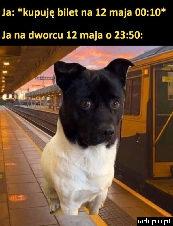 ja kupuję bilet na    maja       ja na dworcu    maja o