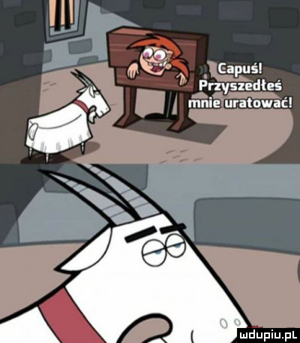 m hpiupl