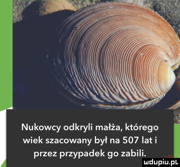 nukowcy odkryli małża którego wiek szacowany był na     lat i przez przypadek go zabili