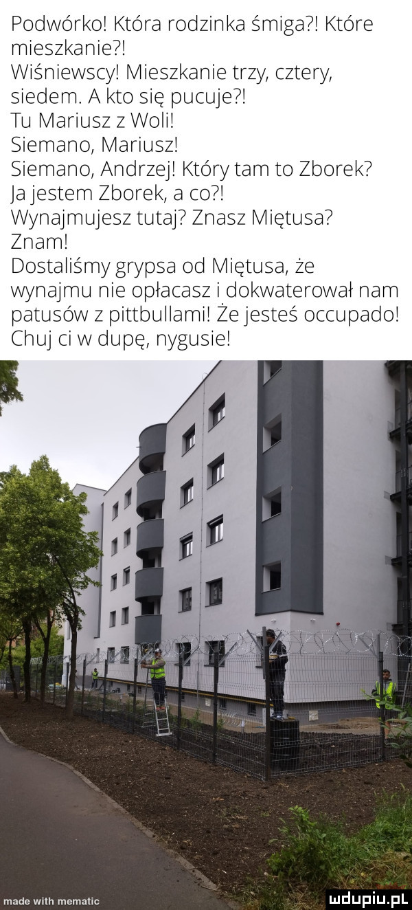 podwórko która rodzinka śmiga które mieszkanie wiśniewscy mieszkanie trzy cztery siedem a kto sie pucuje tu mariusz   woli siemano mariusz siemano andrzej który tam to zworek jajestem zworek a co wynajmujesz tutaj znasz miętusa znam dostaliśmy grypka od miętusa ze wynajmu nie opłacasz i dokwaterowa nam patusow z pittbuilami że jestes occupado chuj ci w dupę nyku ie iii