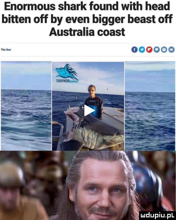 enormous smark found with hiad bitten off by eden bigger beast off australia ciast         x o n. abakankami mdupiupl