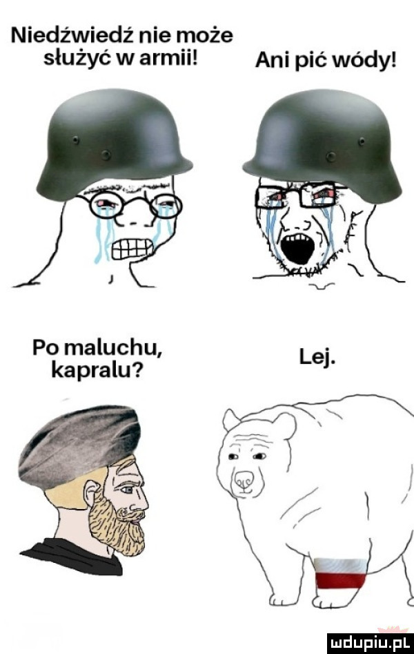niedźwiedź nie może służyć w armii ani pić wódy po maluchu kapralu ludu iu. l