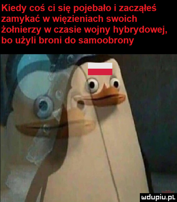 kiedy coś ci się pojebało i zacząłeś zamykać w więzieniach swoich żołnierzy w czasie wojny hybrydowej bo użyli broni do samoobrony